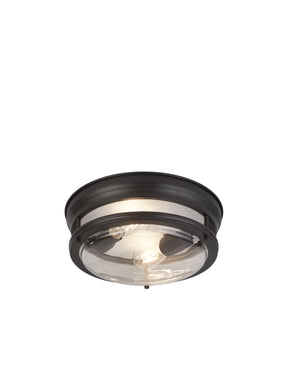 Glasgow 2Lt Flush - Black Metal & Clear Glass
