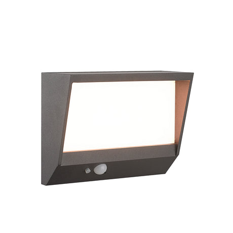 Solar Outdoor Wall Light - Black Metal & White Polycarbonate