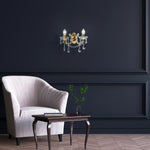 Searchlight Electric Marie Therese 2Lt Wall Light-Polished Brass & Clear Acrylic 699-2