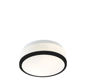 Cheese 2Lt Flush - Black Metal & White Glass