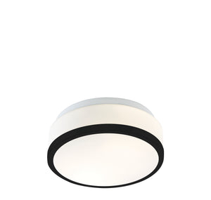 Cheese 2Lt Flush - Black Metal & White Glass