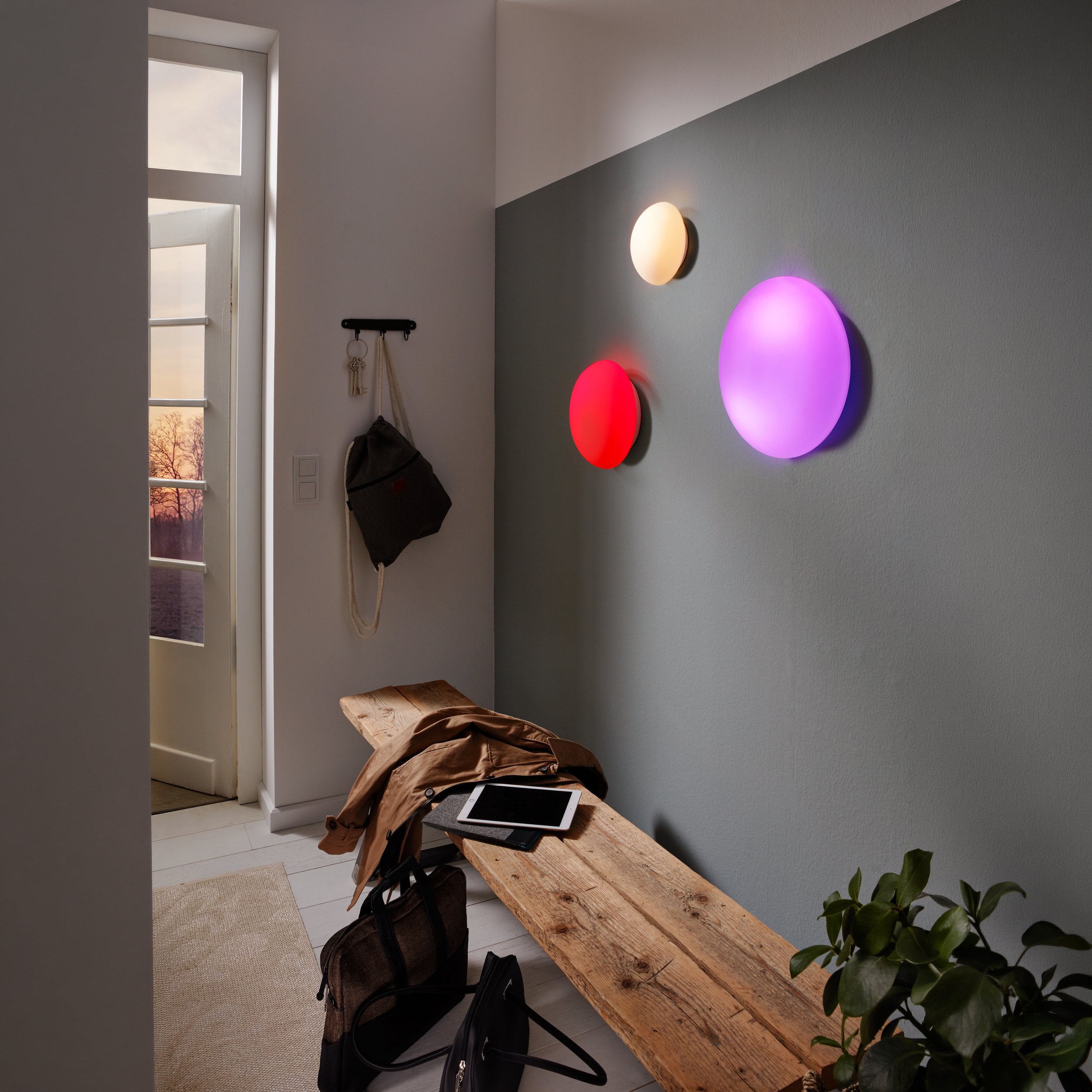 Eglo EU ELLA Wall / Ceiling Light – White Steel with Opal Glass Shade, E27, Indoor Lighting