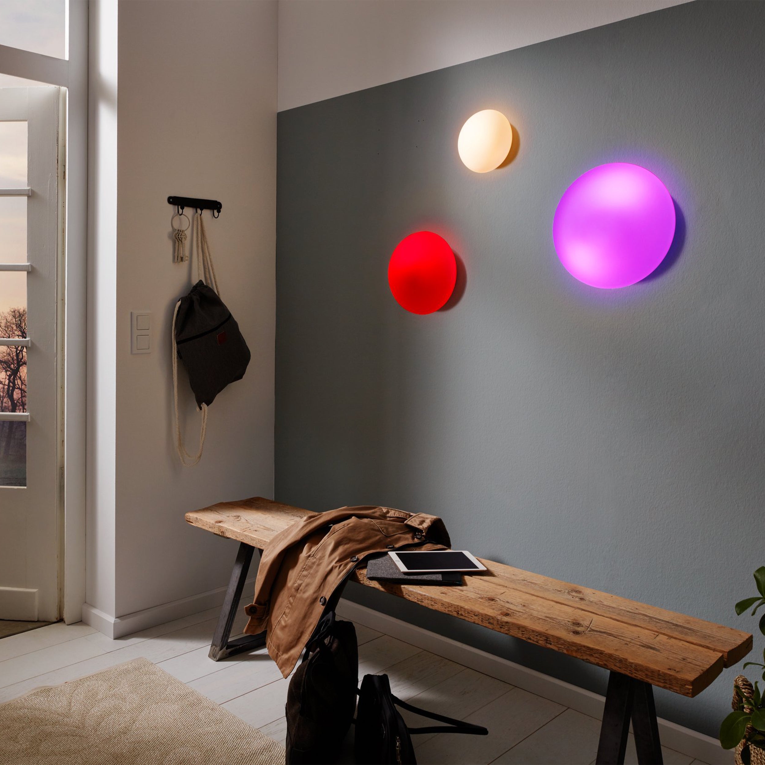 Eglo EU SCALEA?1 Wall or Ceiling Light – White Steel with Decorative Satin Glass, E27, Indoor Lighting product image - Endon Lighting from First Light Direct with great prices and fast UK delivery