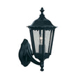 Alex  Outdoor Wall Light - Black Metal & Glass