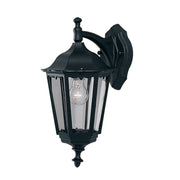 Alex  Outdoor Wall Light - Black Metal & Glass