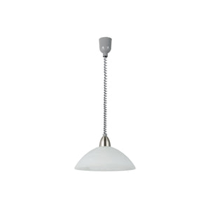 Eglo EU Lord 2 Plastic & Glass Grey Height-Adjustable Single Pendant