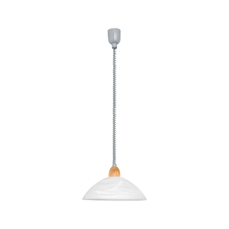 Eglo EU Lord 2 Plastic & Glass Silver Height-Adjustable Single Pendant