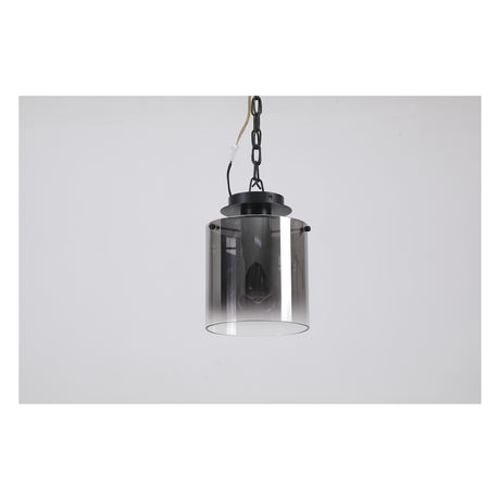 Searchlight Electric Sweden 1Lt Flush - Matt Black & Smoked Glass 88911-1BK