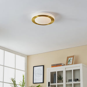 Eglo EU LED CARPI Bathroom Wall or Ceiling Light – Brushed Brass & White Finish, Warm White, 960?lm, IP44