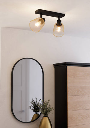 Eglo EU Coslada Black & Brass Contemporary Steel 2-Light Spotlight