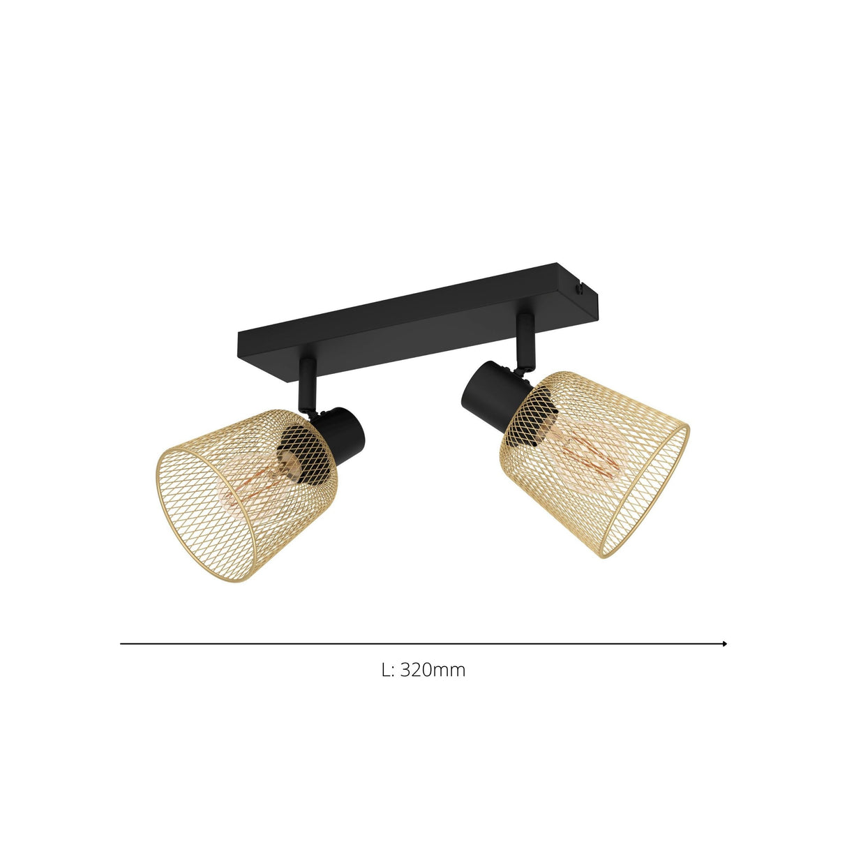Eglo EU Coslada Black & Brass Contemporary Steel 2-Light Spotlight