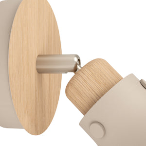 Eglo EU Arrecife Steel Sandy Contemporary Wall Spotlight