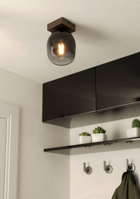 Eglo EU FILAGO Ceiling Light – Wood & Steel with Smoked Glass Shade, E27, Indoor Lighting