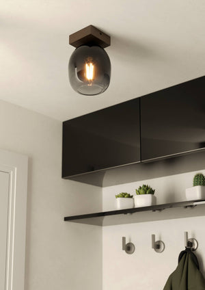 Eglo EU FILAGO Ceiling Light – Wood & Steel with Smoked Glass Shade, E27, Indoor Lighting