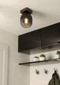 Eglo EU FILAGO Ceiling Light – Wood & Steel with Smoked Glass Shade, E27, Indoor Lighting