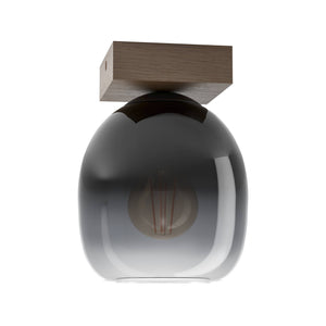 Eglo EU FILAGO Ceiling Light – Wood & Steel with Smoked Glass Shade, E27, Indoor Lighting