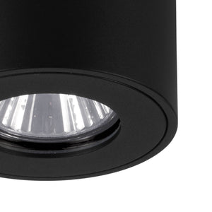 Eglo EU Torrecola Black Metal Cyclindrical Outdoor Ceiling Light