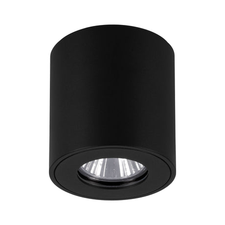 Eglo EU Torrecola Black Metal Cyclindrical Outdoor Ceiling Light