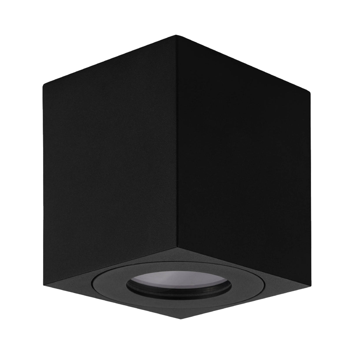 Eglo EU Torrecola Black Metal Rectangular Outdoor Ceiling Light