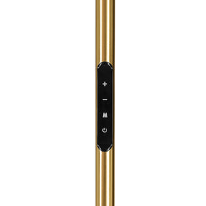 Eglo EU Castelpoto 1 LED Floor Lamp Modern Brushed Brass Dual Ring Light Design