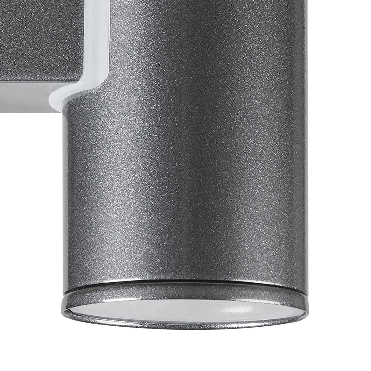 Eglo EU Riga LED Down Exterior Wall Light Anthracite