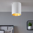 Eglo EU POLASSO Ceiling Light – White & Gold, Integrated LED, Warm White, Compact Indoor Ceiling Lighting
