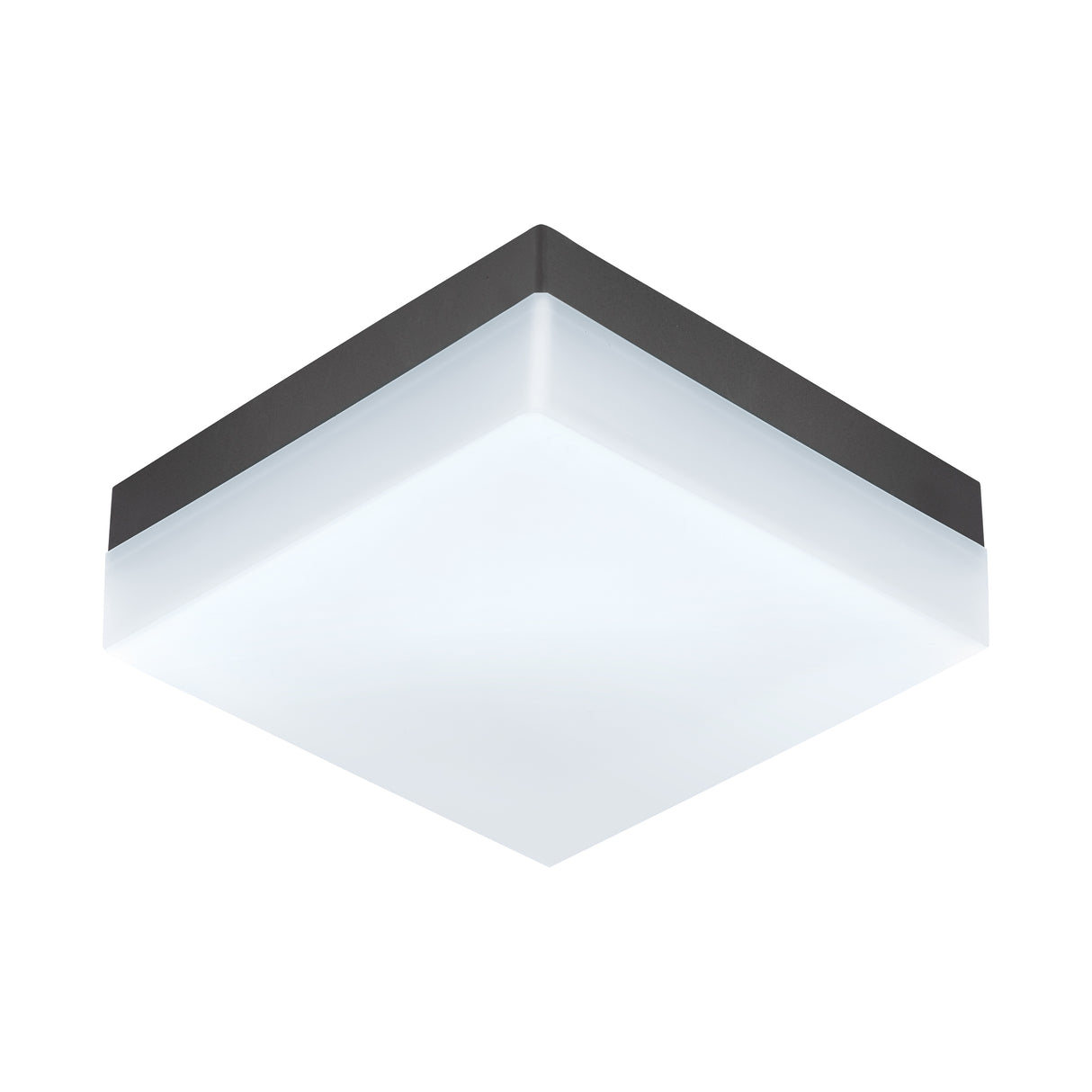 Eglo EU SONELLA Outdoor LED Wall / Ceiling Light – Anthracite Plastic, Warm White, Indoor & Outdoor Lighting
