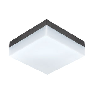 Eglo EU SONELLA Outdoor LED Wall / Ceiling Light – Anthracite Plastic, Warm White, Indoor & Outdoor Lighting
