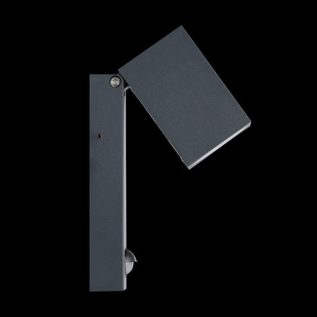 Eglo Lighting OD-LED-WL w.sensor anthracite 'SAKEDA' Outdoor Lamps from the SAKEDA range. Part Number - 96287