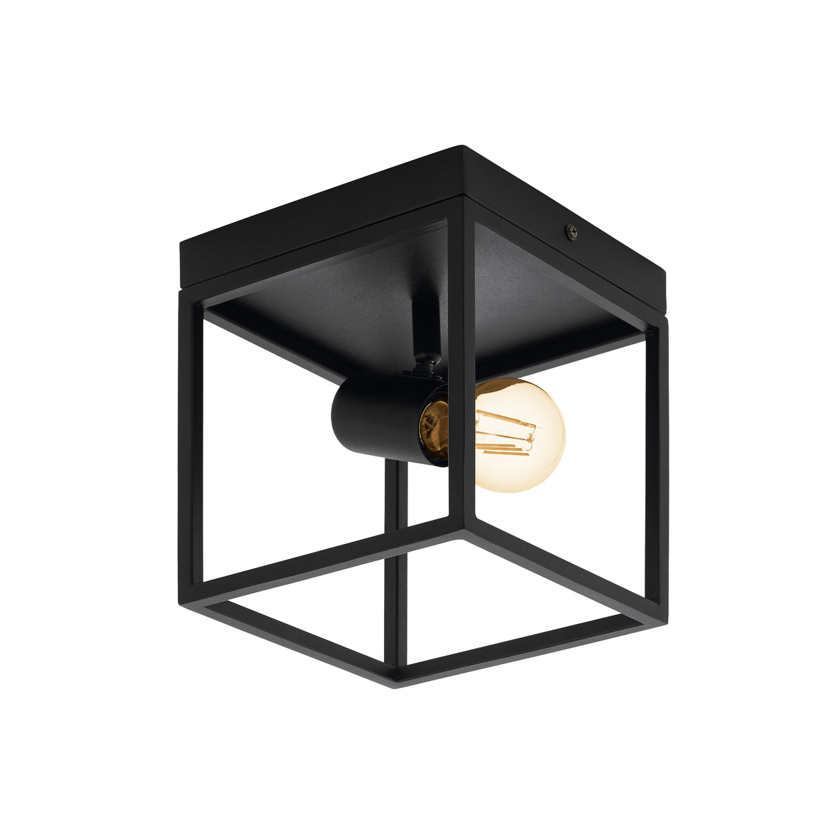 Eglo EU Silentina Industrial Caged Steel Single Spotlight Ceiling Light