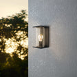 Eglo EU CASCINETTA Outdoor Wall Light – Black Zinc?Plated Steel with Clear Glass, E27, Exterior Lighting