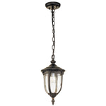 Elstead Lighting Cleveland 1 Light Small Chain Lantern CL8-S