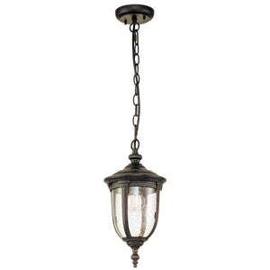 Elstead Lighting Cleveland 1 Light Small Chain Lantern CL8-S