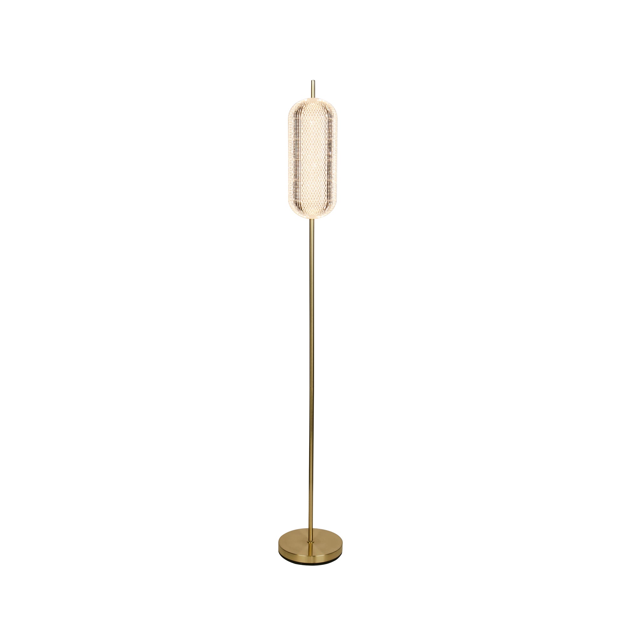 Capsule LED Floor Lamp, Satin Brass Metal and Acrylic Shade