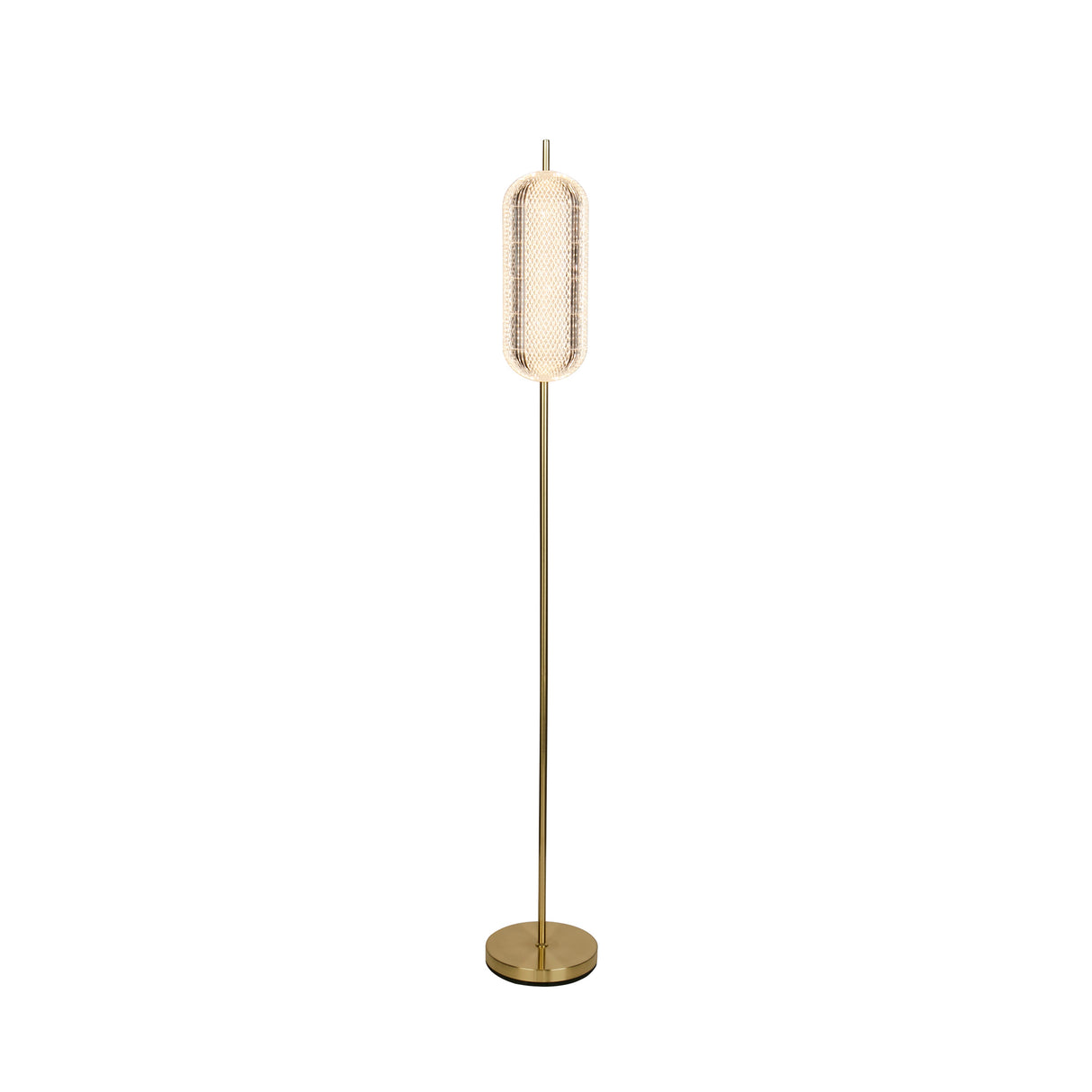 Capsule LED Floor Lamp, Satin Brass Metal and Acrylic Shade