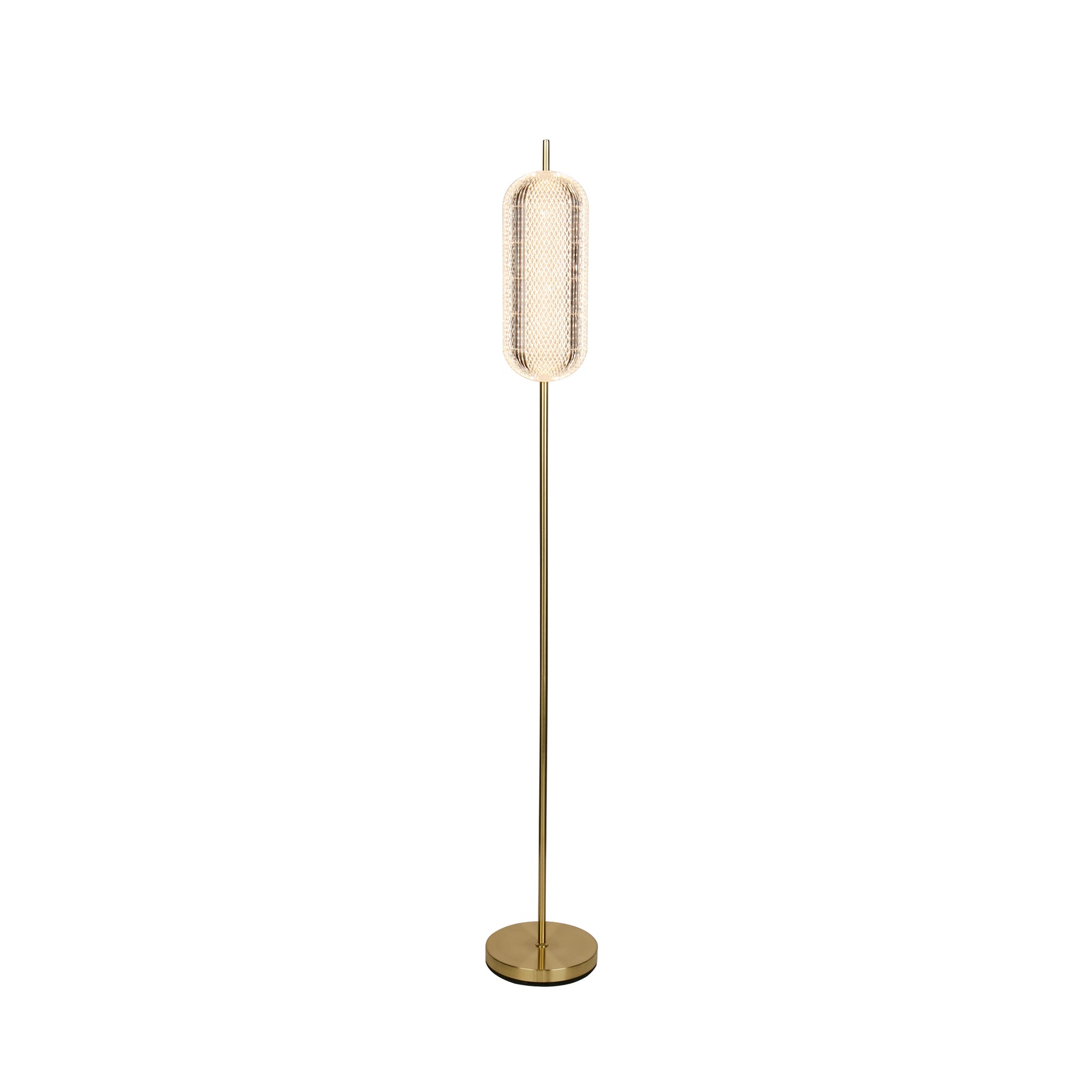 Capsule LED Floor Lamp, Satin Brass Metal and Acrylic Shade