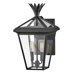 Hinkley Palma 2lt Medium Wall Lantern HK-PALMA-M-BK