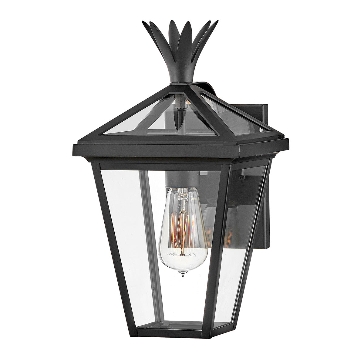 Hinkley Palma 1lt Small Wall Lantern HK-PALMA-S-BK