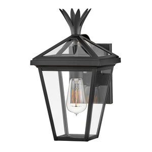 Hinkley Palma 1lt Small Wall Lantern HK-PALMA-S-BK