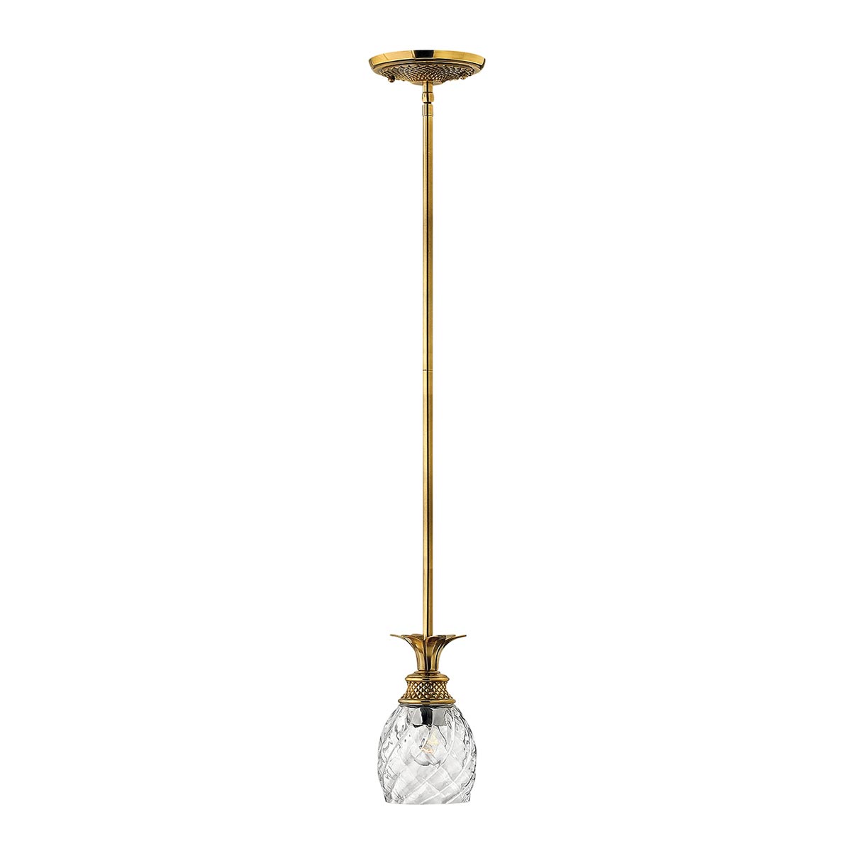 Hinkley Plantation 1 Light Pendant HK-PLANTATION-MP-BB