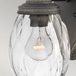 Hinkley Plantation 1lt Small Wall Lantern HK-PLANTATION-S-MB