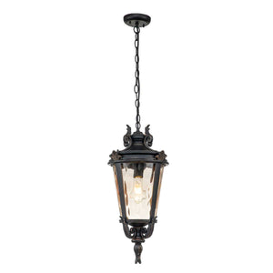 Elstead Lighting Outdoor Hanging from the Baltimore range. Baltimore 1 Light Large Chain Lantern Product Code = BT8-L