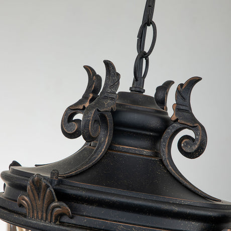 Elstead Lighting Outdoor Hanging from the Baltimore range. Baltimore 1 Light Large Chain Lantern Product Code = BT8-L