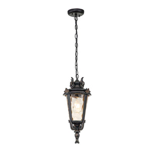 Elstead Lighting Outdoor Hanging from the Baltimore range. Baltimore 1 Light Medium Chain Lantern Product Code = BT8-M