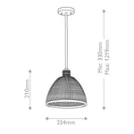Elestead Lighting ELS-HAMPSTEAD-P-PNBR 1 Light Hampstead Duo-Mount Pendant