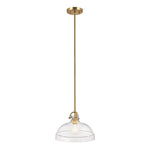 Elestead Lighting ELS-HAMPTON-P-PNBR 1 Light Hampton Duo-Mount Pendant