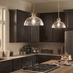 Elestead Lighting ELS-HAMPTON-P-PNBR 1 Light Hampton Duo-Mount Pendant
