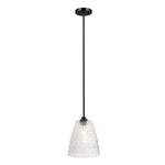Elestead Lighting ELS-WINDSOR-P-BLK 1 Light Windsor Duo-Mount Pendant