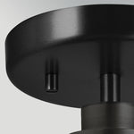 Elestead Lighting ELS-WINDSOR-P-BLK 1 Light Windsor Duo-Mount Pendant