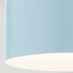 Elstead Lighting ELS-YORK-MP-PNBR-PB 1 Light York Duo-Mount Pendant